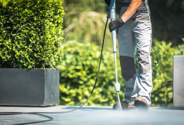 Best Paint Preparation  in Springville, NY