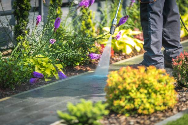 Best Winterizing Services  in Springville, NY