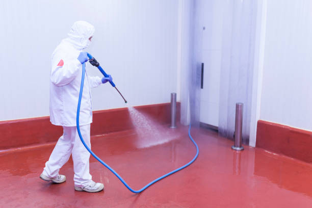 Best Winterizing Services  in Springville, NY