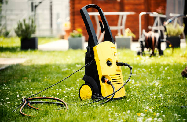 Best Rust Removal  in Springville, NY